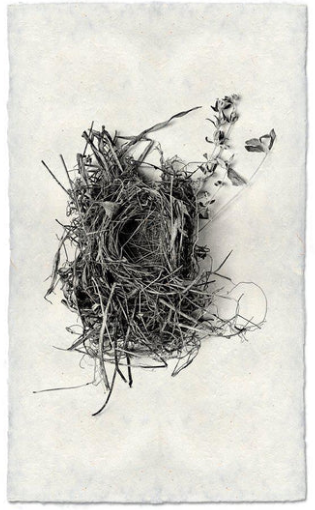 Nest Print