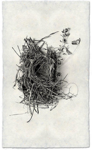 Nest Print