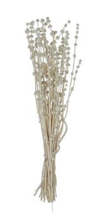 Dried Natural Lion's Tail Bunch | White